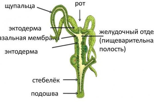 Как попасть на кракен