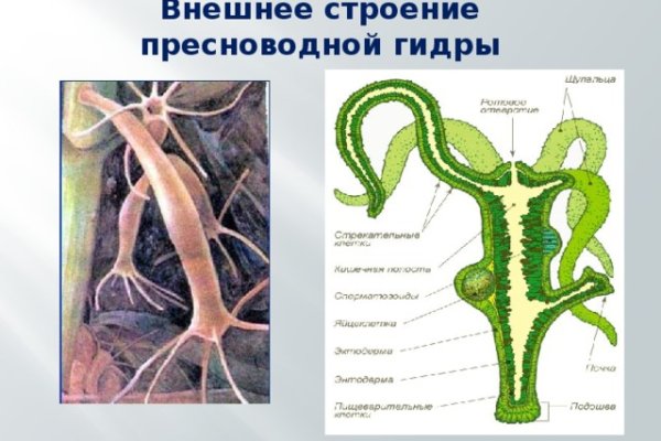 Кракен маркет даркнет слушать