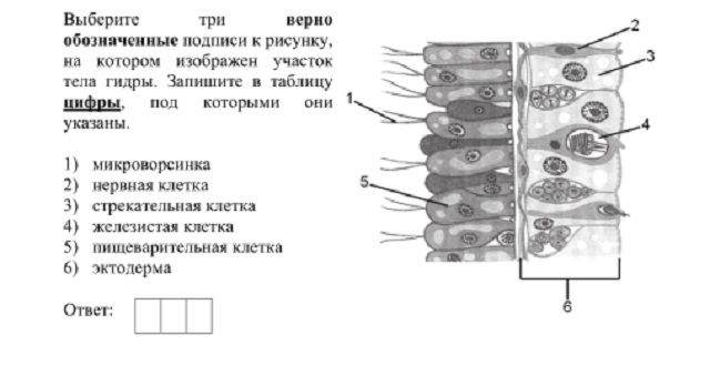 Kra42.at Вход на сайт главная страница