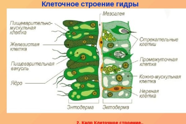 Кракен даркнет плейс