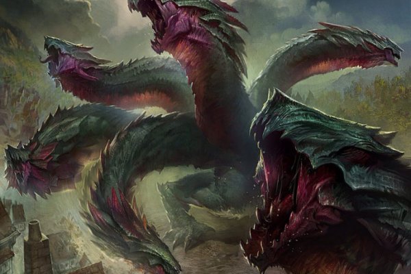 Kraken 20at net