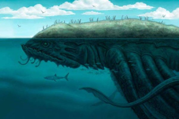 Kraken online