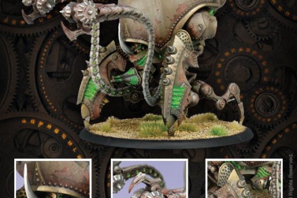 Kraken 6 at