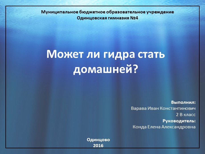 Кракен что можно купить